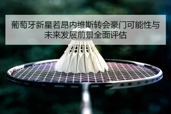 葡萄牙新星若昂内维斯转会豪门可能性与未来发展前景全面评估