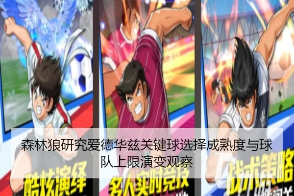 森林狼研究爱德华兹关键球选择成熟度与球队上限演变观察